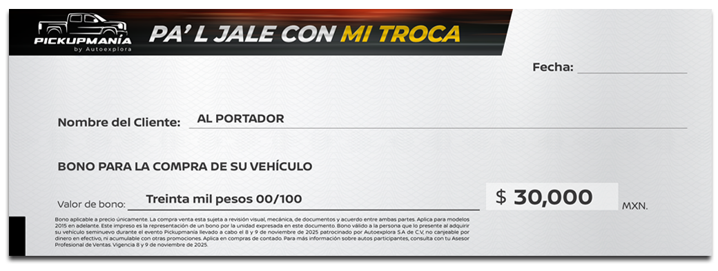 Cheque al portador